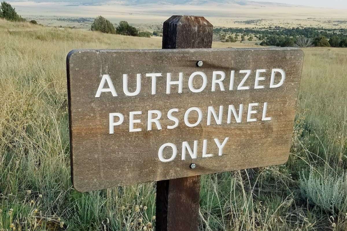 How Can Gun Companies Obtain Authorization to Export Internationally?